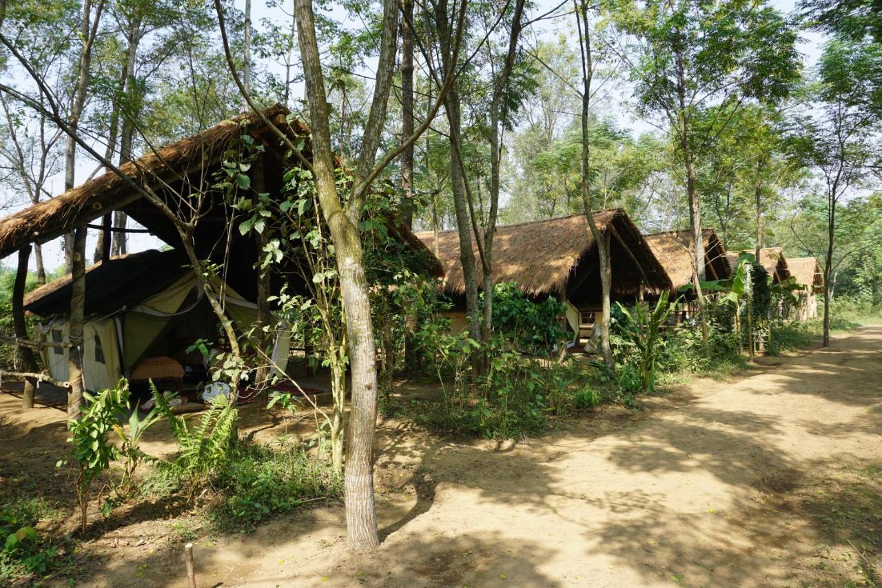 Tiger Tops Tharu Lodge Chitwan Exteriér fotografie