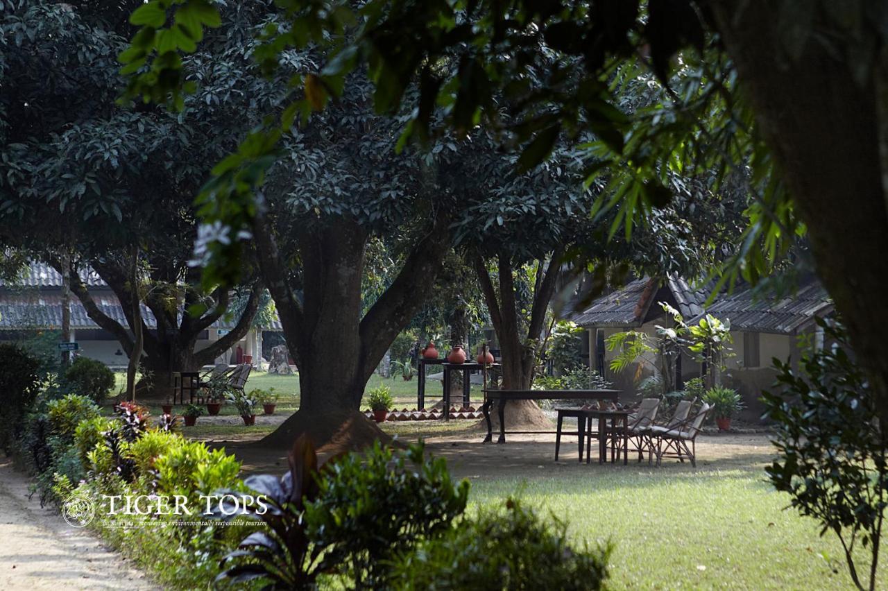 Tiger Tops Tharu Lodge Chitwan Exteriér fotografie